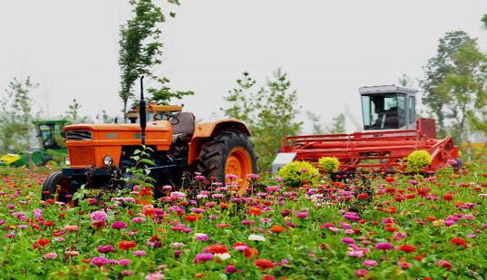 “十三五”大思路規(guī)劃, 哪些決定將影響農(nóng)業(yè)行業(yè)