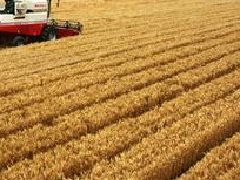 湖北提出“一芯驅(qū)動(dòng)、兩帶支撐、三區(qū)協(xié)同”的區(qū)域和產(chǎn)業(yè)規(guī)劃布局