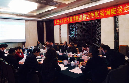 科技部高端智庫(kù)專(zhuān)家會(huì)診重慶永川創(chuàng)建國(guó)家高新區(qū)