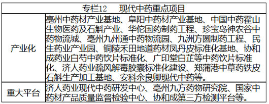 安徽省戰(zhàn)略性新興產業(yè)“十三五”發(fā)展規(guī)劃