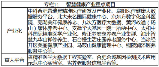 安徽省戰(zhàn)略性新興產業(yè)“十三五”發(fā)展規(guī)劃