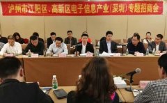 江陽區(qū)、瀘州國家高新區(qū)在深圳開展專題招商