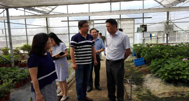 南京白馬高新區(qū)創(chuàng)建國家農(nóng)高區(qū)調(diào)研成果會順利召開