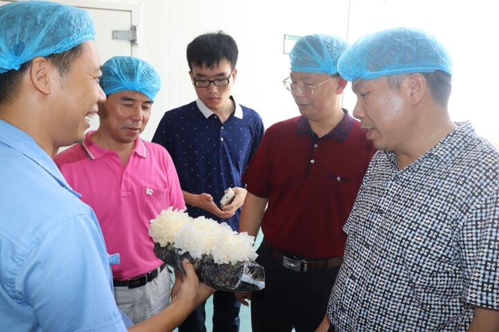 “湘軍故里，鋼鐵新城”我院助力婁底市開啟創(chuàng)新發(fā)展新篇章