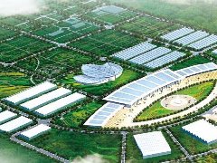 “壩區(qū)”引領(lǐng)產(chǎn)業(yè)興 “菜菇”滿(mǎn)園百姓笑