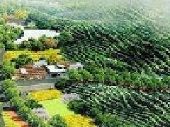 打造“零碳園區(qū)”？生態(tài)環(huán)境部公布第一批試點(diǎn)產(chǎn)業(yè)園區(qū)名單