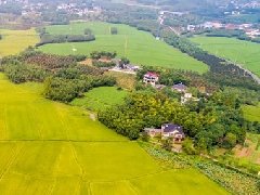 智慧園區(qū)規(guī)劃 | 產(chǎn)業(yè)園區(qū)該如何應(yīng)對突發(fā)公共事件？