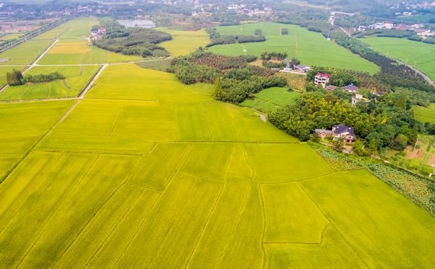 國(guó)務(wù)院關(guān)于同意建設(shè)新疆昌吉國(guó)家農(nóng)業(yè)高新技術(shù)產(chǎn)業(yè)示范區(qū)的批復(fù)