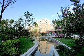 中辦、國辦印發(fā)《關(guān)于加強(qiáng)城鄉(xiāng)社區(qū)協(xié)商的意見》