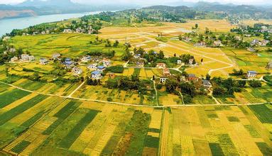 經(jīng)濟(jì)轉(zhuǎn)型，要抓縣域經(jīng)濟(jì)牛鼻子？