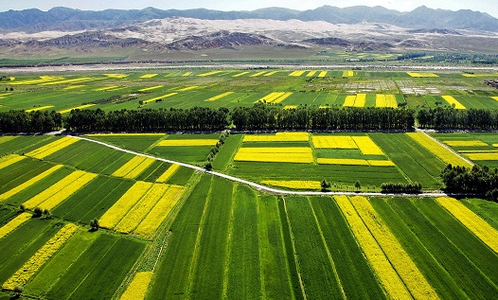 “十三五”全國農業(yè)農村信息化發(fā)展規(guī)劃（一）