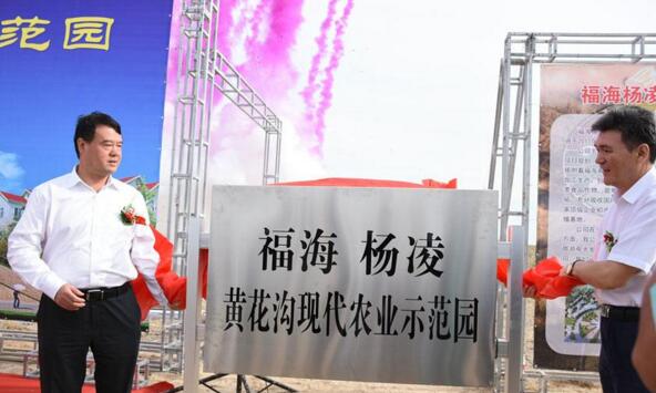 新疆福?？h攜手楊凌高新區(qū)打造中國(guó)高緯度農(nóng)業(yè)示范基地