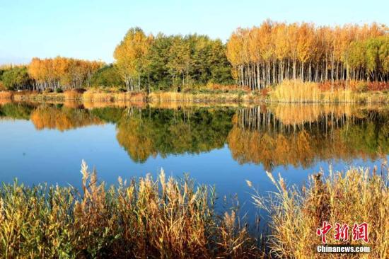甘肅經濟觸底求變：打好特色牌，多拿單打冠亞軍