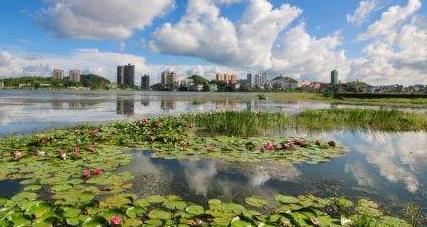 安順經開區(qū)：政策推動 產業(yè)帶動 鄉(xiāng)村旅游旺起來