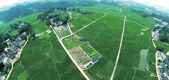 大健康事業(yè)是國家趨勢(shì)，現(xiàn)今走在前面的人，將是未來的主角！