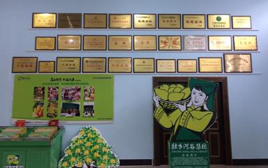 “芒果百色，香飄百地” 國內(nèi)首家芒果精深加工特色產(chǎn)業(yè)基地申報進行時