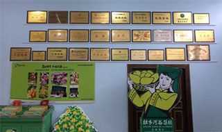 “芒果百色，香飄百地” 國內(nèi)首家芒果精深加工特色產(chǎn)業(yè)基地申報進行時