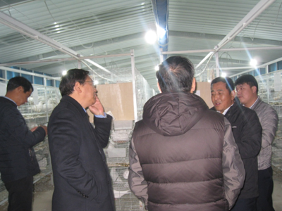 太行山革命老區(qū)，阜平縣鄉(xiāng)村振興正當時