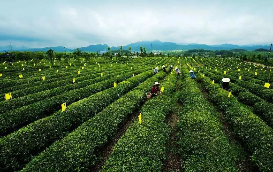 國家要重點(diǎn)建設(shè)1000個鄉(xiāng)村振興示范村鎮(zhèn)