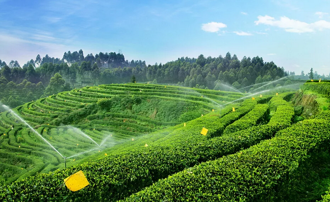 2019年國(guó)家先給錢(qián)后建設(shè)的4類(lèi)農(nóng)業(yè)產(chǎn)業(yè)項(xiàng)目，最多補(bǔ)貼1個(gè)億