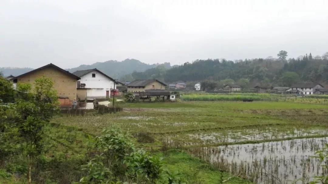 農(nóng)村土地確權(quán)結(jié)束，沒登記的四荒地如何處理？