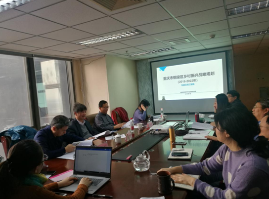 問診專家，繪制龍鄉(xiāng)銅梁鄉(xiāng)村振興新藍(lán)圖