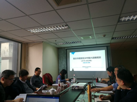 問診專家，繪制龍鄉(xiāng)銅梁鄉(xiāng)村振興新藍(lán)圖