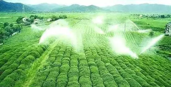 重磅！2019中央一號(hào)文件即將發(fā)布！大農(nóng)業(yè)領(lǐng)域迎來新機(jī)遇