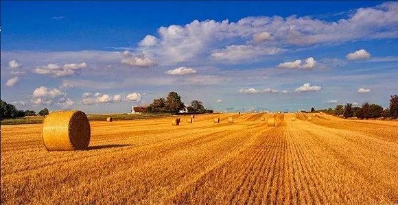 農(nóng)資企業(yè)如何在鄉(xiāng)村振興征程中發(fā)展壯大？