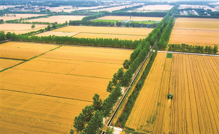 江蘇：魚米之鄉(xiāng)，鄉(xiāng)村產(chǎn)業(yè)動(dòng)能澎湃