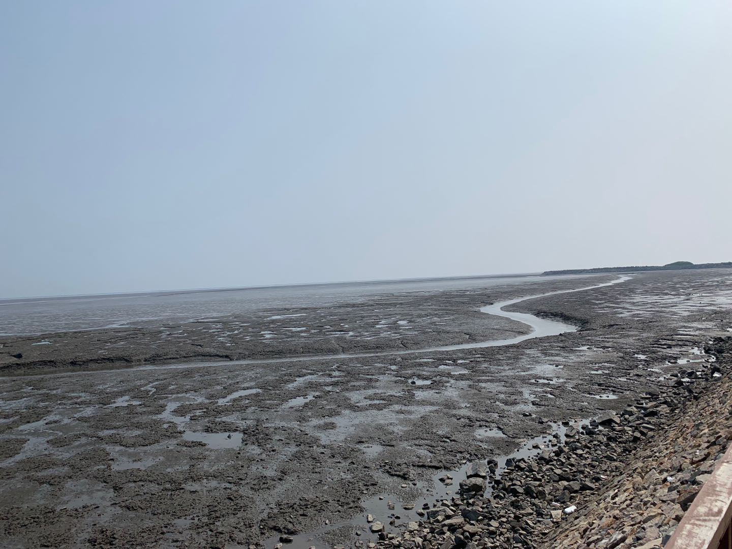 依托貝類優(yōu)勢(shì)，遼寧省東港市積極創(chuàng)建省級(jí)現(xiàn)代農(nóng)業(yè)產(chǎn)業(yè)園