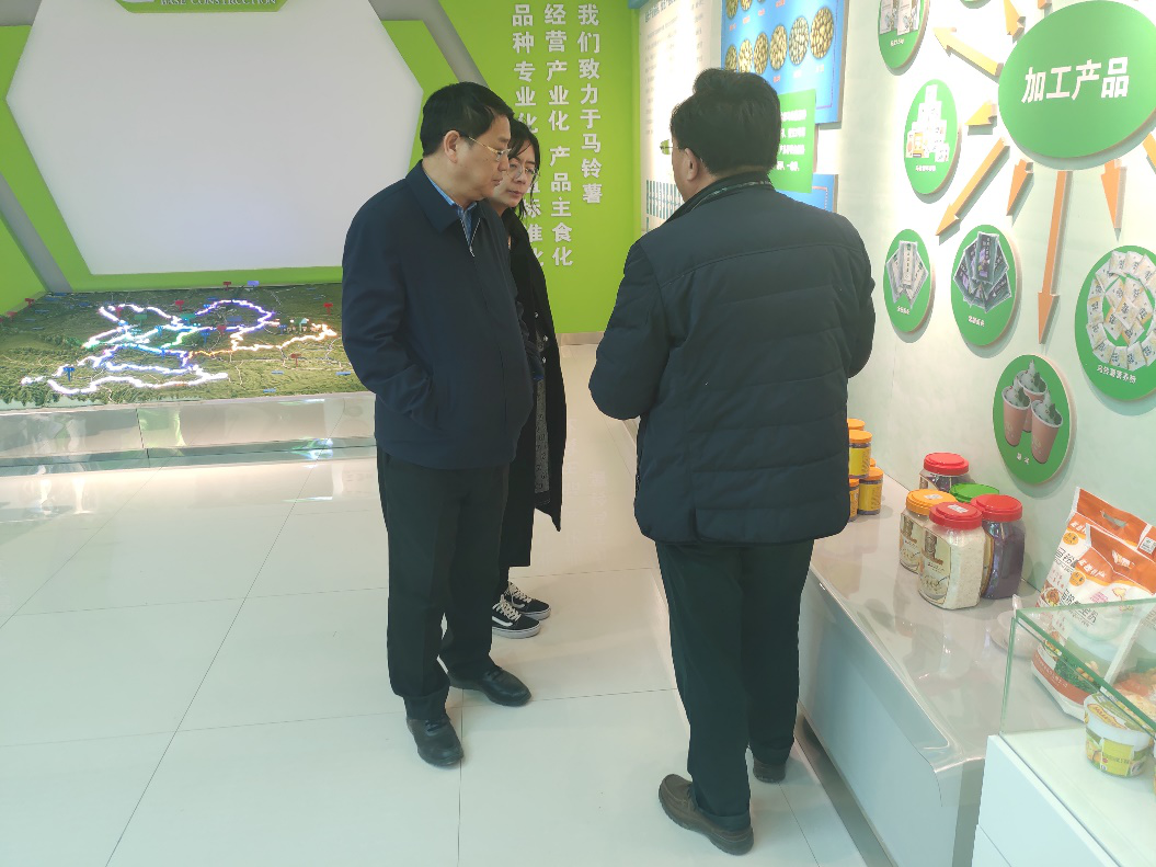 “中國薯都”再奏新旋律，定西市安定區(qū)開啟馬鈴薯產(chǎn)業(yè)發(fā)展新篇章