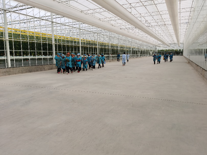 依托非耕地高效設(shè)施農(nóng)業(yè)，民樂(lè)縣著力打造特色戈壁農(nóng)業(yè)國(guó)家現(xiàn)代農(nóng)業(yè)產(chǎn)業(yè)園