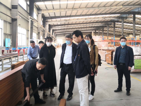 竹青筍香“桃花江”，現(xiàn)代農(nóng)業(yè)吐芬芳