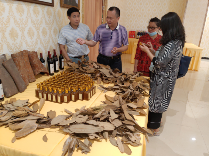 龔州大地，龍眼飄香-平南現(xiàn)代農(nóng)業(yè)正釋放科技創(chuàng)新活力