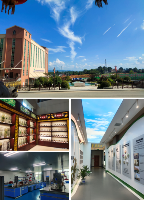 創(chuàng)建省級(jí)高新區(qū)，鶴城工業(yè)集中區(qū)邁入高質(zhì)量發(fā)展快車道