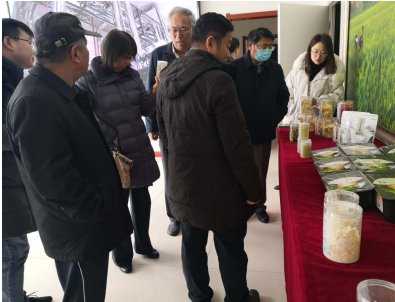 借力專家智慧，云州區(qū)蹄疾步穩(wěn)邁向國家現(xiàn)代農(nóng)業(yè)產(chǎn)業(yè)園