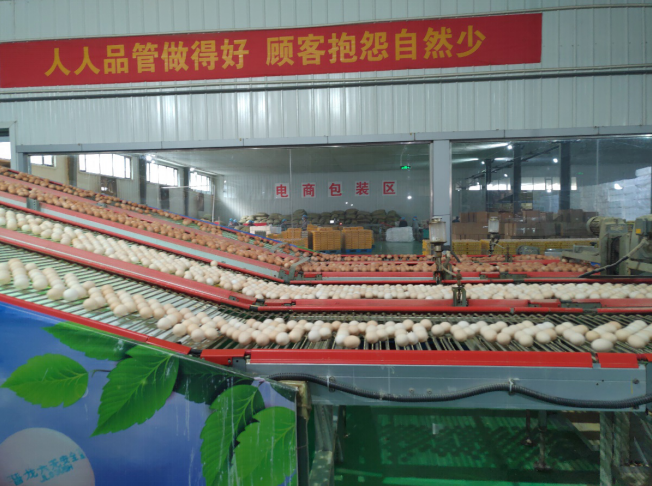 后稷故里，板棗之鄉(xiāng)——山西省稷山縣大力爭創(chuàng)國家現(xiàn)代農(nóng)業(yè)產(chǎn)業(yè)園