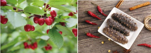 遼寧省大連瓦房店市全力推進(jìn)國(guó)家現(xiàn)代農(nóng)業(yè)產(chǎn)業(yè)園建設(shè)