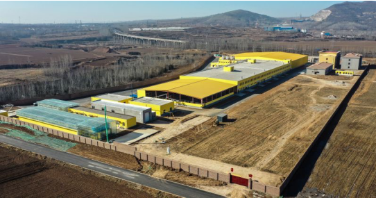 錦繡“五彩農業(yè)”，高平市爭創(chuàng)國家 現代農業(yè)產業(yè)園吹響集結號