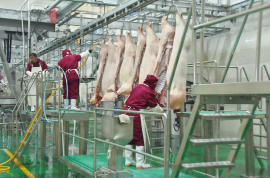 錦繡“五彩農(nóng)業(yè)”，高平市爭(zhēng)創(chuàng)國(guó)家 現(xiàn)代農(nóng)業(yè)產(chǎn)業(yè)園吹響集結(jié)號(hào)