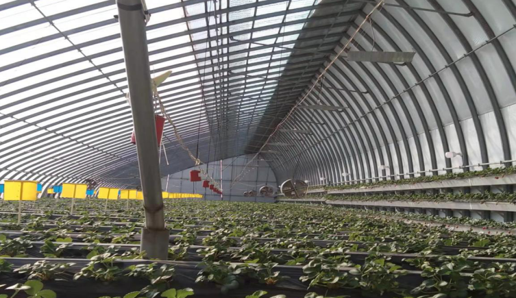 走特色高效農(nóng)業(yè)之路，晉中榆次區(qū)積極申報(bào)國(guó)家現(xiàn)代農(nóng)業(yè)產(chǎn)業(yè)園