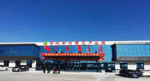 大同黃花，忘憂云州——云州區(qū)積極申創(chuàng)國家農(nóng)業(yè)現(xiàn)代化示范區(qū)