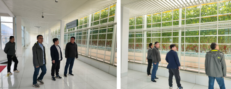 加強農業(yè)產業(yè)布局規(guī)劃，民樂縣向農業(yè)強縣進發(fā)