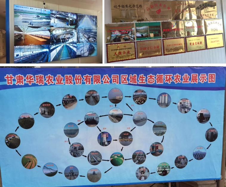 加強農業(yè)產業(yè)布局規(guī)劃，民樂縣向農業(yè)強縣進發(fā)