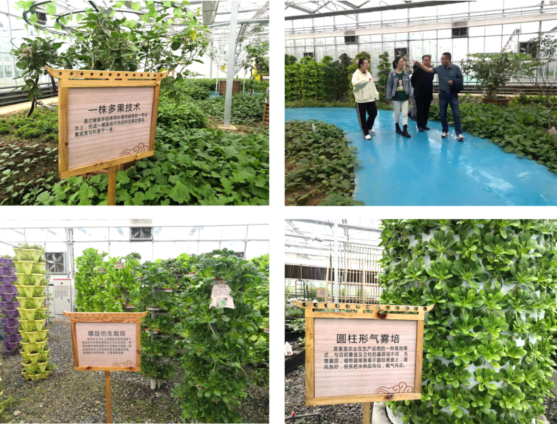 晉之源果蔬再啟航，曲沃開啟國家農(nóng)業(yè)現(xiàn)代化示范區(qū)新征程