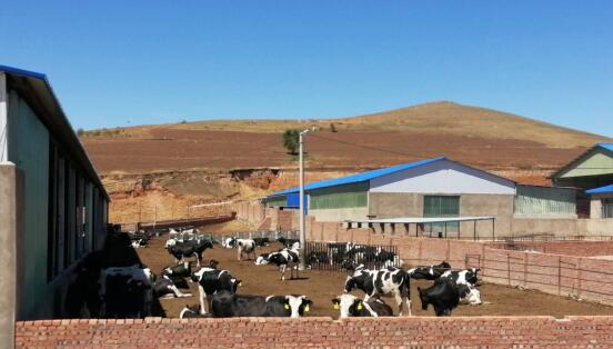 科右前旗農(nóng)業(yè)現(xiàn)代化示范區(qū)創(chuàng)建按下“加速鍵”，吹響“集結(jié)號(hào)”