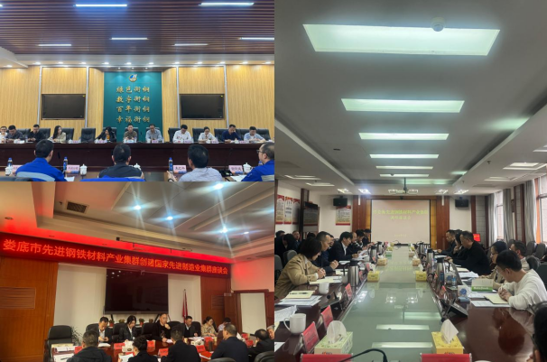 高新院走入湖南鋼鐵——以先進(jìn)制造業(yè)集群撬動“新質(zhì)生產(chǎn)力”支點