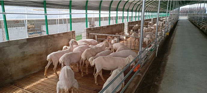 高新院再創(chuàng)佳績，又一國家現(xiàn)代農(nóng)業(yè)產(chǎn)業(yè)園誕生在三晉大地