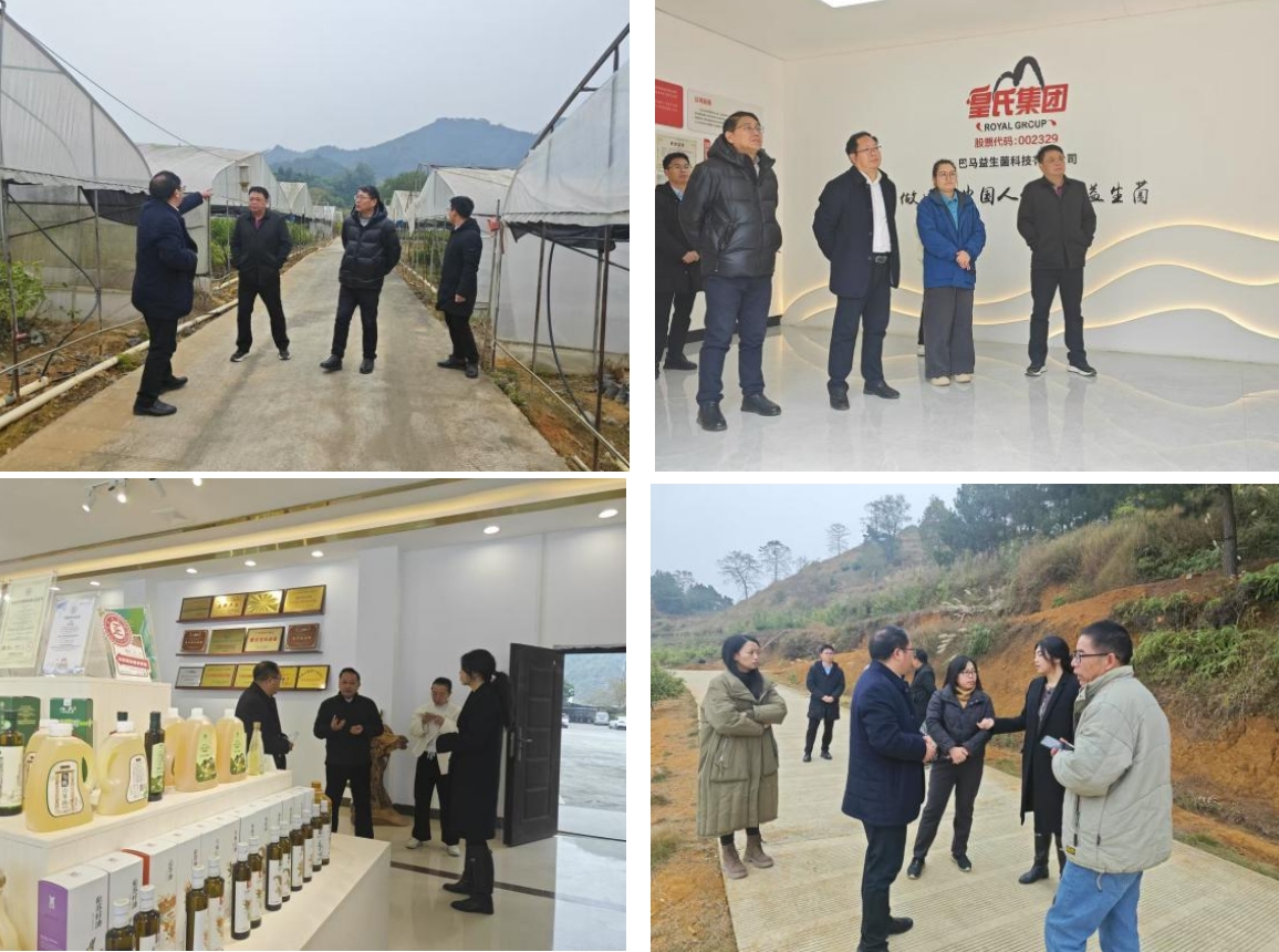 長(zhǎng)壽之鄉(xiāng)，逐路之行——高新院專家組一行赴廣西巴馬瑤族自治縣開展河池農(nóng)高區(qū)創(chuàng)建調(diào)研